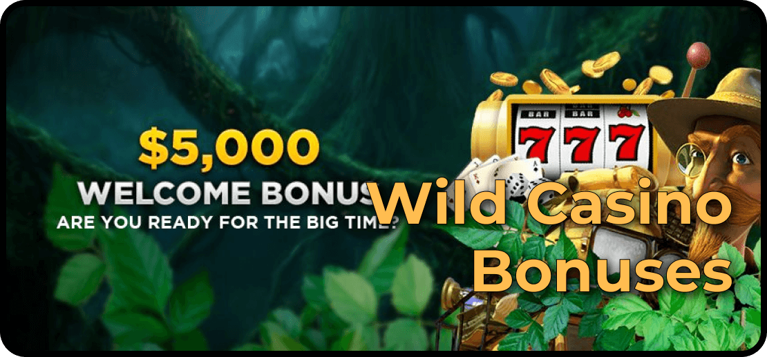 Wild Casino Bonuses